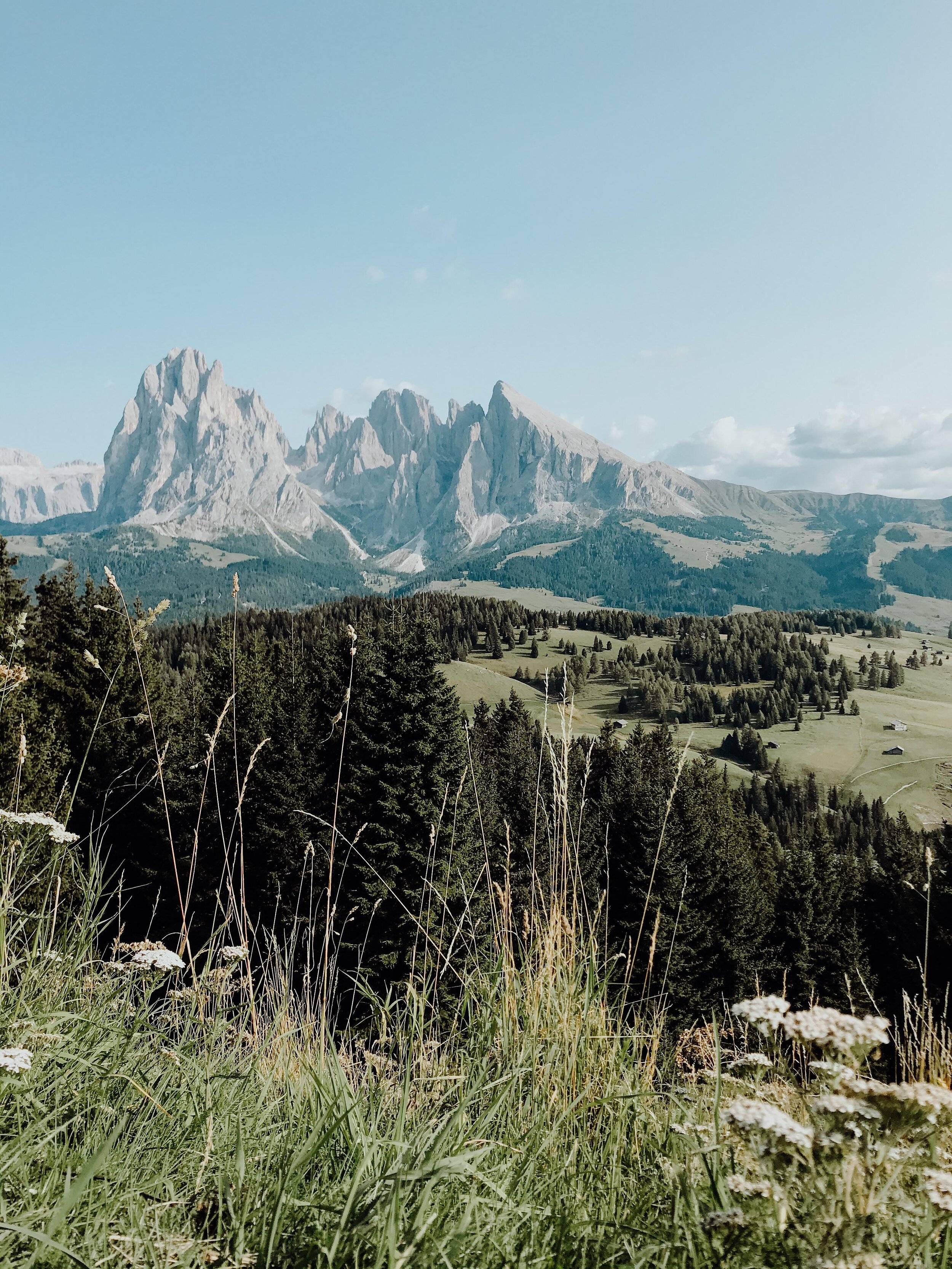 Calming Mountain Landscape